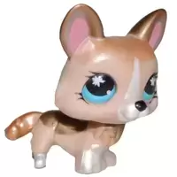 LPS 871