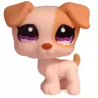 LPS 1110