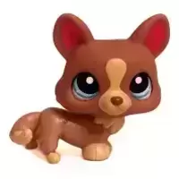 LPS 1158
