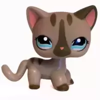 LPS 1206