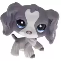 LPS 1209