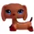 Littlest Pet Shop - Generation 3 - LPS 1211