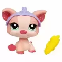 LPS 1544