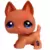 LPS 1640