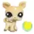 LPS 1955