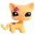 LPS 1962