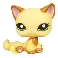 LPS 2037