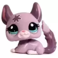 LPS 2135