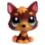 LPS 2137