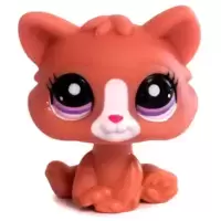 LPS 2191