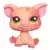 LPS 2672
