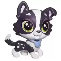 LPS 3913
