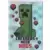 Minecraft Time To Mine - Card R36