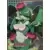 Limited Run Cards Series 3 - Shantae and the Seven Sirens Character Trading Cards