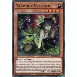 Traptrix Vesiculo