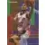 Fleer 95-96 NBA Europe - Allan Houston