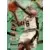 Avery Johnson