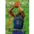 Fleer 95-96 NBA Europe - Isaiah Rider