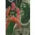 Fleer 95-96 NBA Europe - Rick Fox