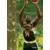 Sam Perkins