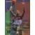 Fleer 95-96 NBA Europe - Terrell Brandon