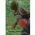Terry Porter