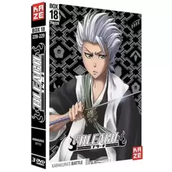 Bleach-Saison 4 : Box 18 : Karakura's Battle, Part 2