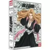 Bleach-Saison 5 Partie 20