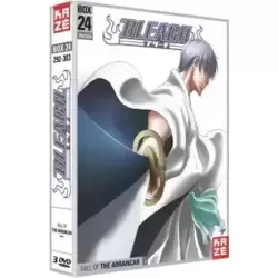 Bleach-Saison 5 Partie 24