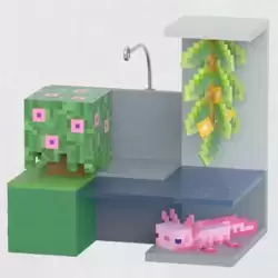 Cave Enviornment