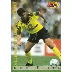 Ned Zelic