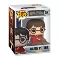 Harry Potter - Harry Potter Quidditch
