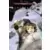 Last Exile - Volume 5