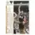 1991-92 Upper D.E.C.K - NBA Basketball Edition - US Version - Dwayne Schintzius RC
