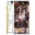 1991-92 Upper D.E.C.K - NBA Basketball Edition - US Version - Rafael Addison RC