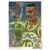 1991-92 Upper D.E.C.K - NBA Basketball Edition - US Version - Shawn Kemp CL