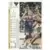 1991-92 Upper D.E.C.K - NBA Basketball Edition - US Version - Steve Kerr