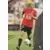 Panini FOOT 2009 Trading Cards - Petter Hansson - Stade rennais