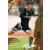Panini FOOT 2009 Trading Cards - Flavio Roma - AS Monaco