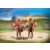 Playmobil Novelmore - Duel Chevalier Novelmore et Burnham Raider