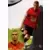 Panini FOOT 2009 Trading Cards - Jérôme Leroy - Stade rennais