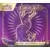 Coffret Dresseur d\'Elite (ETB) - Écarlate et Violet - Miraidon