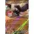 Scarlet & Violet - SVIen - Great Tusk EX