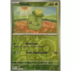 Olivini Reverse