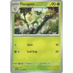 Floragato