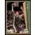 Fleer 1992-1993 Basketball NBA - Rich King