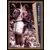 Fleer 1992-1993 Basketball NBA - Scott Hastings