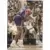 Fleer 94-95 / NBA European 1994-1995 - Charles Oakley / David Robinson