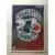 Charlotte Hornets Logo