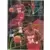Fleer 94-95 / NBA European 1994-1995 - Scottie Pippen / Hakeem Olajuwon